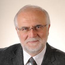 Professor Brani Vidakovic