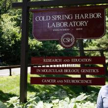 Chow at Cold Spring Harbor Laboratory