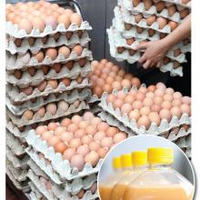 Of the estimated 215 million cases of eggs produced in 2009, 30% were removed from their shells and turned into liquid, frozen, and dried egg products used by the food service industry and as ingredients in other foods.