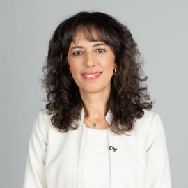 Pinar Keskinocak